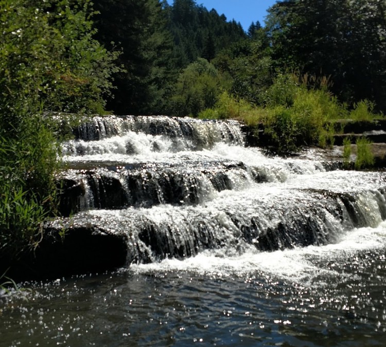 siuslaw-falls-county-park-photo